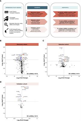 Integrative Omics Analysis Unravels Microvascular Inflammation-Related Pathways in Kidney Allograft Biopsies